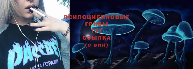 сколько стоит  hydra ССЫЛКА  Псилоцибиновые грибы Magic Shrooms  Кола 